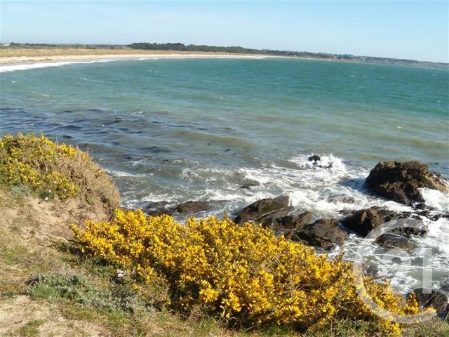 Afficher la photo en grand Studio à vendre - 1 pièce - 22.75 m2 - ARZON - 56 - BRETAGNE - Century 21 Ar'Zon Immobilier
