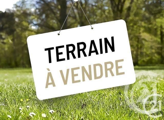 terrain - ARZON - 56