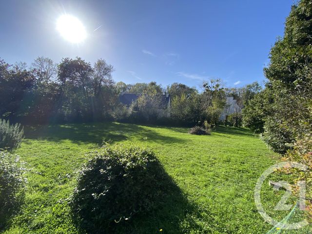 terrain - ARZON - 56
