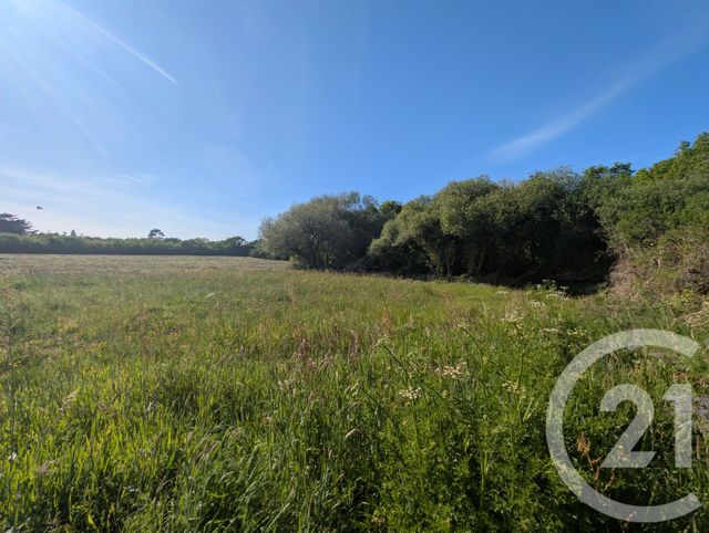 Terrain à vendre ARZON