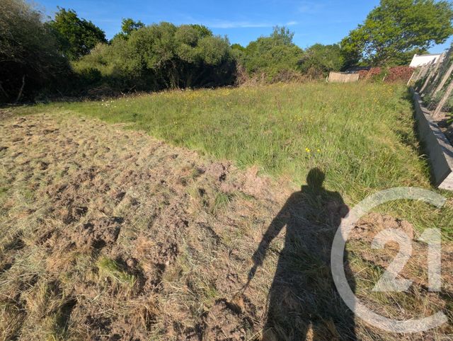 terrain à vendre - 651.0 m2 - ARZON - 56 - BRETAGNE - Century 21 Ar'Zon Immobilier